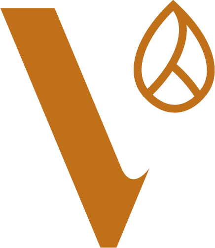 Vitalora Estetik — symbol V (hlavná verzia)